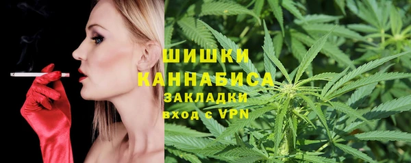 амф Аркадак