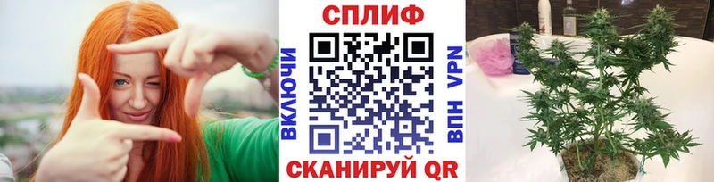 Бошки марихуана Bruce Banner  Вольск 